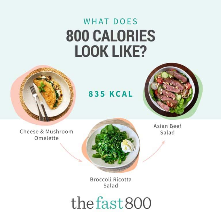 What does 800 calories look like